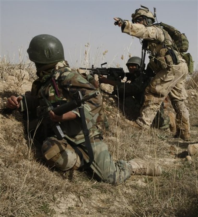A Canadian soldier points at the direction of fire coming from insurgents to an Afghan National Army soldier during a firefight  in the Badula Qulp area, west of Lashkar Gah  in Helmand province, southern Afghanistan, Sunday, Feb. 14, 2010.  The soldiers are operating in support of a U.S. Marine offensive against the Taliban in Marjah area. (AP Photo/Pier Paolo Cito)